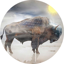 Bison Solar